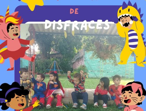 WhatsApp Image 2024-11-05 at 6.17.03 AM (1)